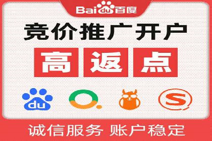 某电商平台的SEM推广策略全解析
